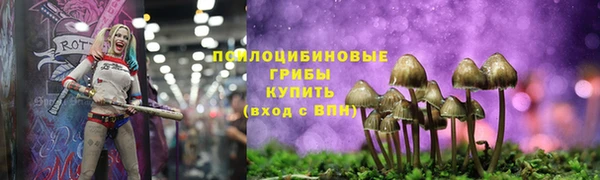 наркотики Алексин