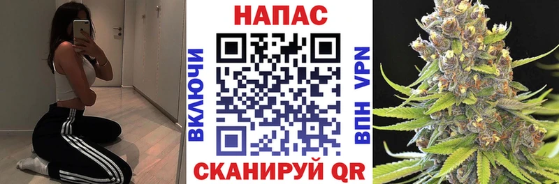 Шишки марихуана OG Kush  наркота  Куртамыш 